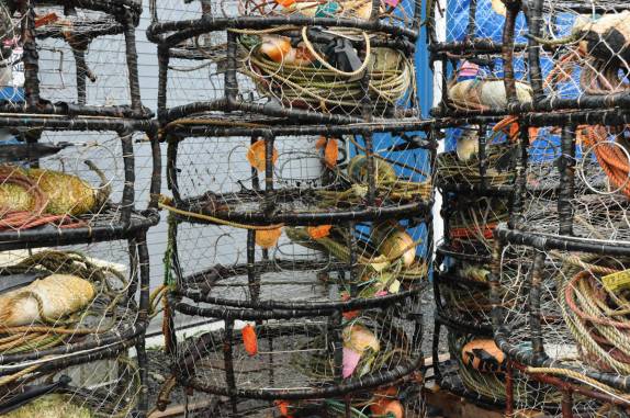 Armadilhas para carngueijos, em Sitka, no sudeste do Alaska